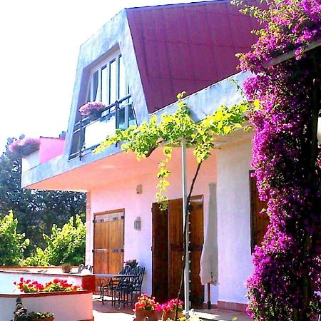 Bed And Breakfast Aloisio San Gregorio di Catania Exteriör bild