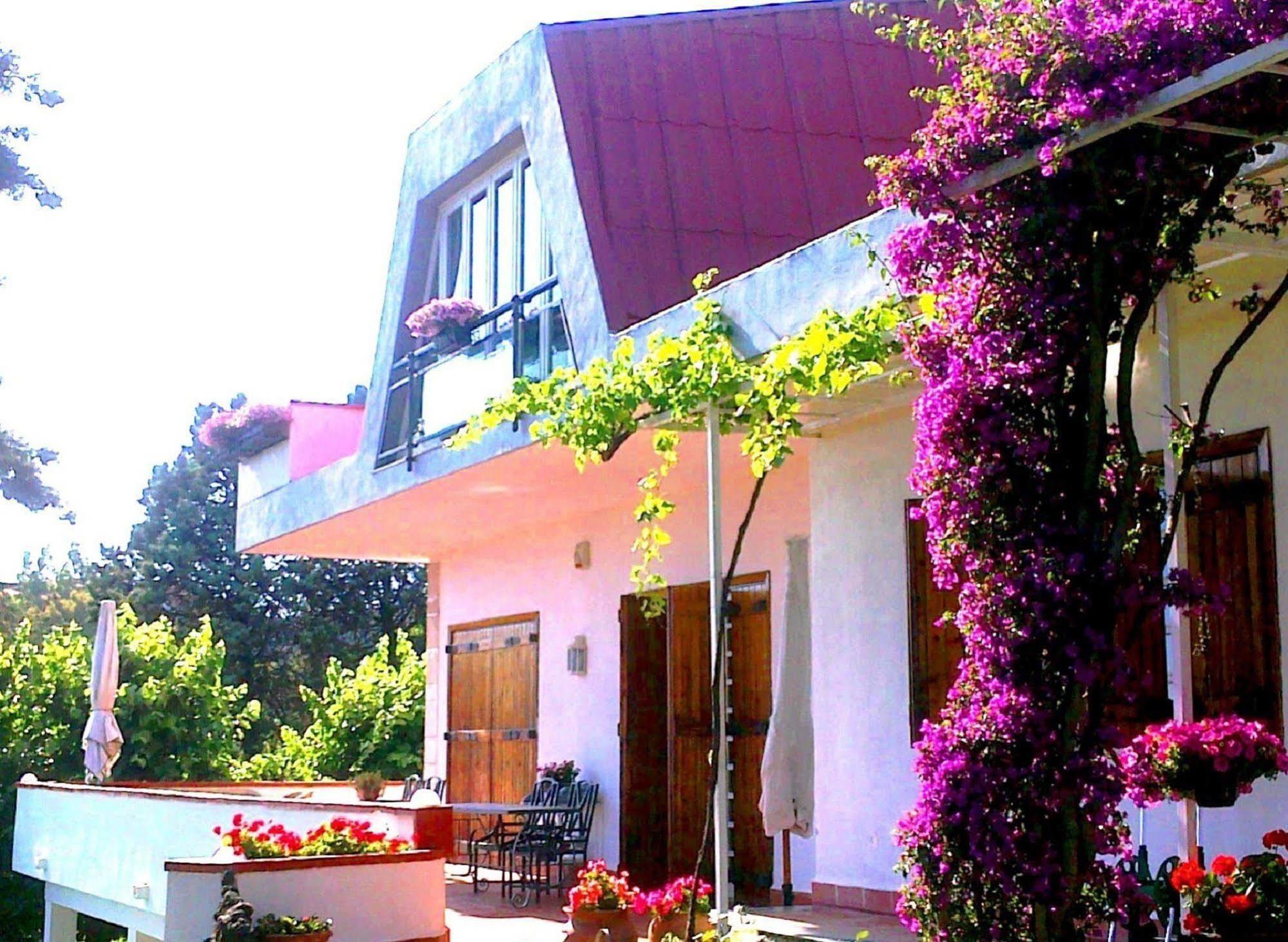 Bed And Breakfast Aloisio San Gregorio di Catania Exteriör bild
